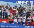 Κλουμπ Ντεπορτίβο Ουνιβερσιδάδ Κατόλικα, πρωταθλητής του τουρνουά άνοιγμα 2016, από το πρώτο τμήμα ποδοσφαίρου Χιλής